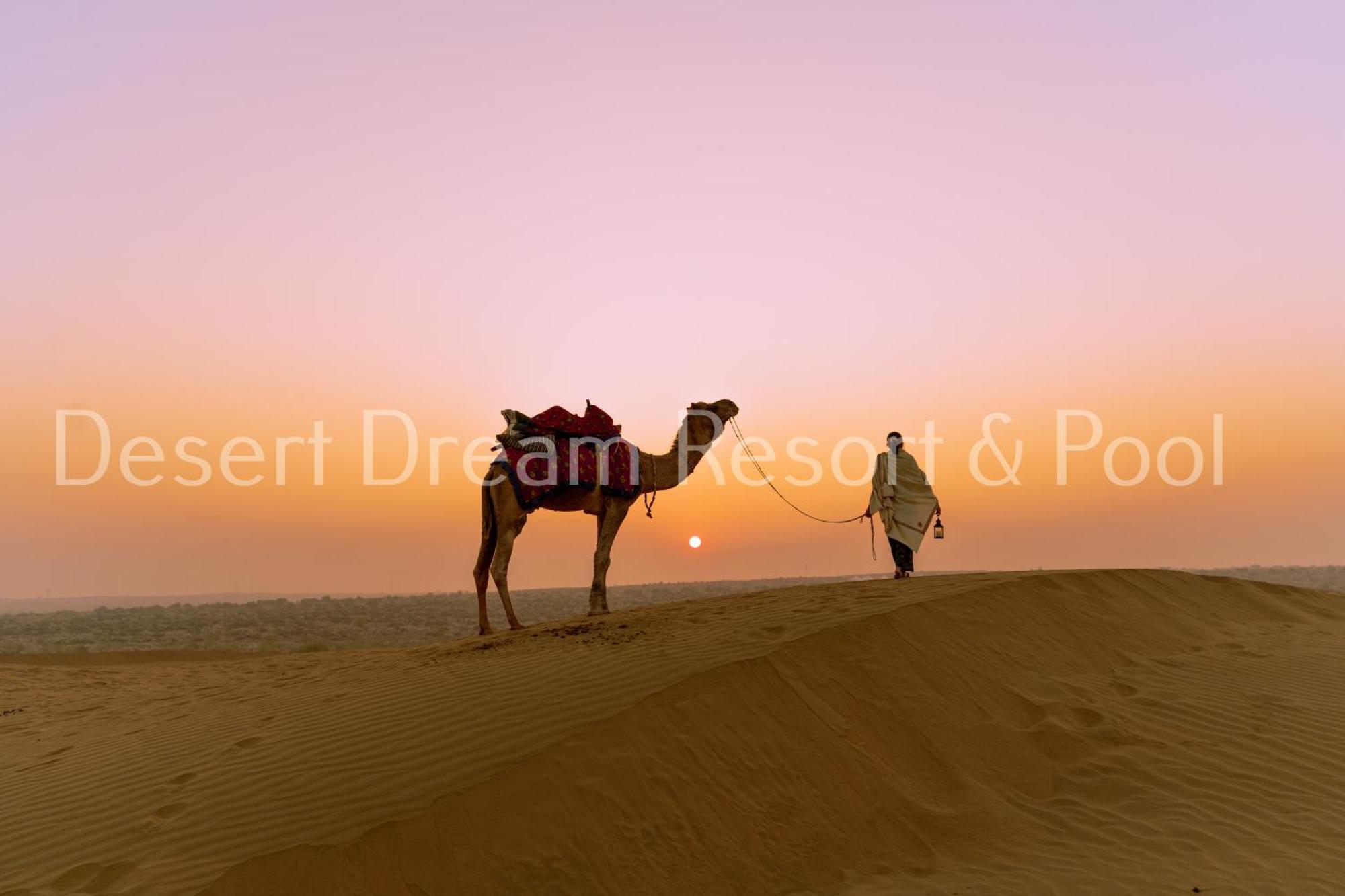 Desert Dream Royal Camp & Pool Jaisalmer Eksteriør billede